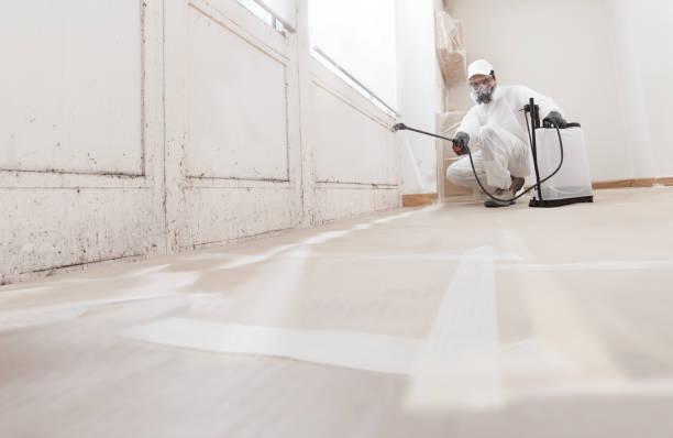 Black mold remediation team in Margarettsville